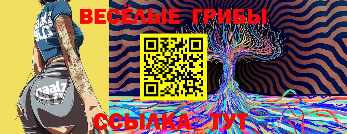 Новотроицк  Псилоцибиновые грибы GOLDEN TEACHER  Вход с VPN 