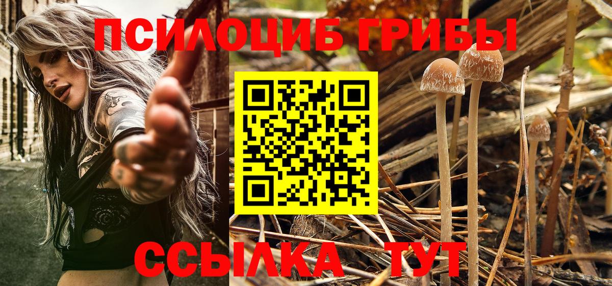 Псилоцибиновые грибы мухоморы Новотроицк